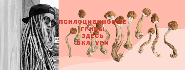ГАЛЛЮЦИНОГЕННЫЕ ГРИБЫ Абинск