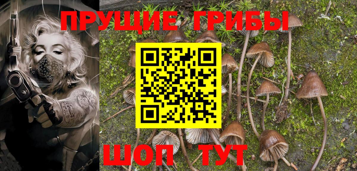 Псилоцибиновые грибы Magic Shrooms  Псилоцибиновые грибы ЛСД  Оренбург  Вход с VPN 